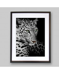 Retrato de un Leopardo