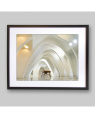 Interior de la Casa Batllo, Antoni Gaudi, Barcelona, España
