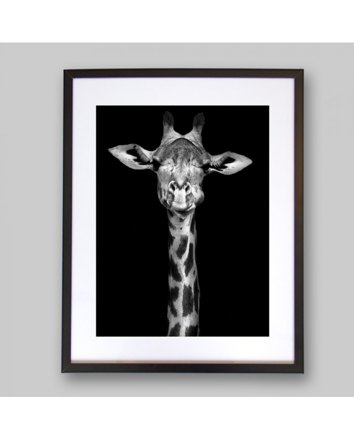 Retrato de una jirafa, Nairobi, Kenia