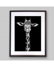 Retrato de una jirafa, Nairobi, Kenia