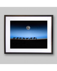 De camino por el Sahara, Marruecos