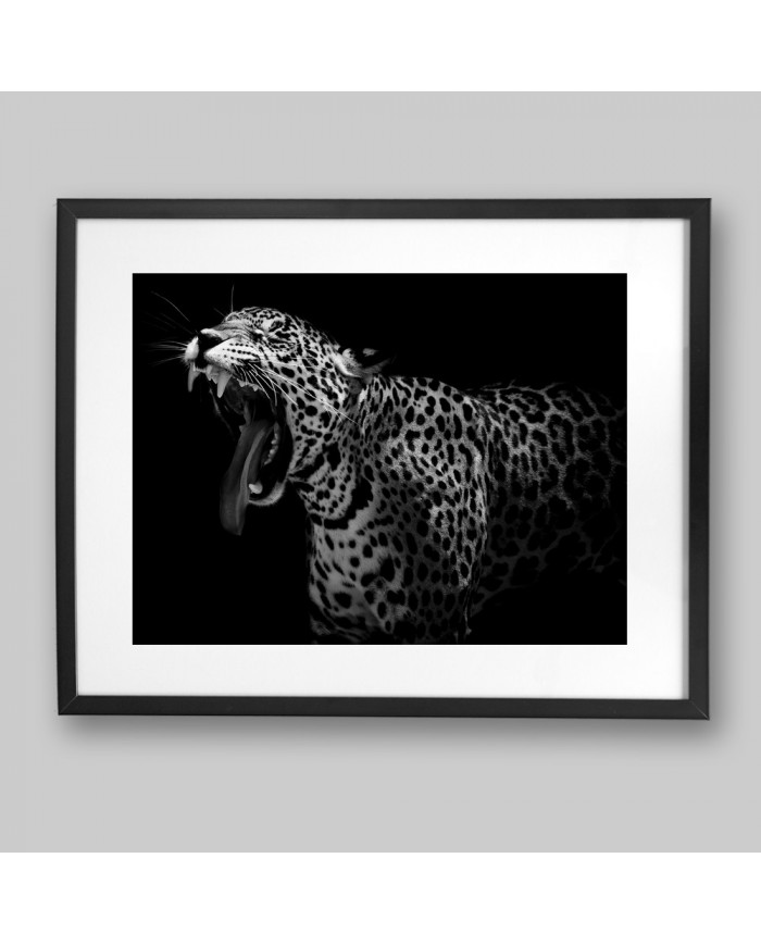 Retrato de un leopardo, Parque Nacional Serengueti, Tanzania