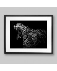 Retrato de un leopardo, Parque Nacional Serengueti, Tanzania