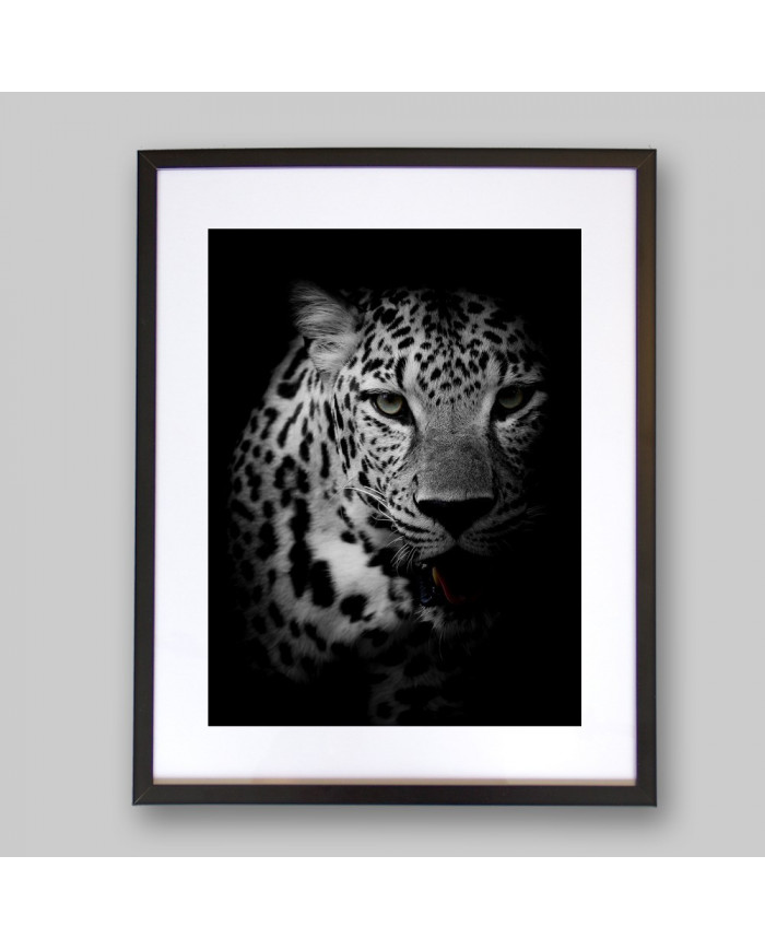 Retrato de un leopardo, Parque Nacional Kruger, SudÁfrica