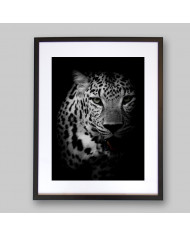 Retrato de un leopardo, Parque Nacional Kruger, SudÁfrica