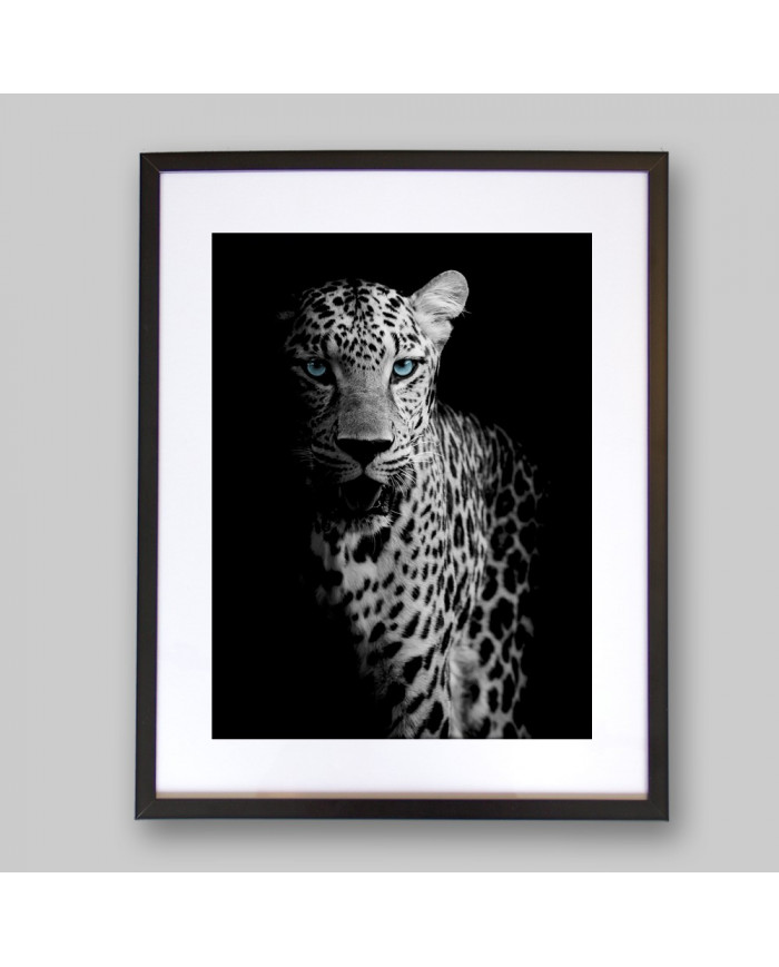 Retrato de un leopardo, Parque Nacional Chobe, Botswana