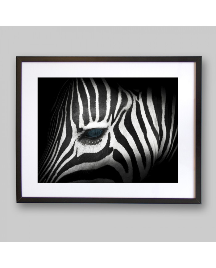 Retrato de una cebra,Parque Nacional Kruger,SudÁfrica