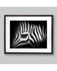 Retrato de una cebra,Parque Nacional Kruger,SudÁfrica