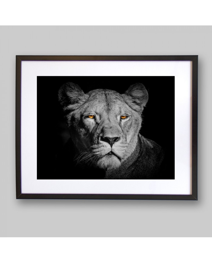 Leona,Parque Nacional Serengueti,Tanzania