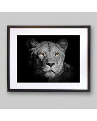 Leona,Parque Nacional Serengueti,Tanzania