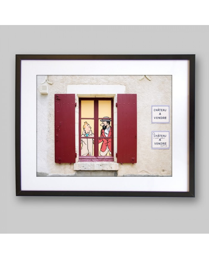 Tintín en el Castillo de Cheverny, Francia