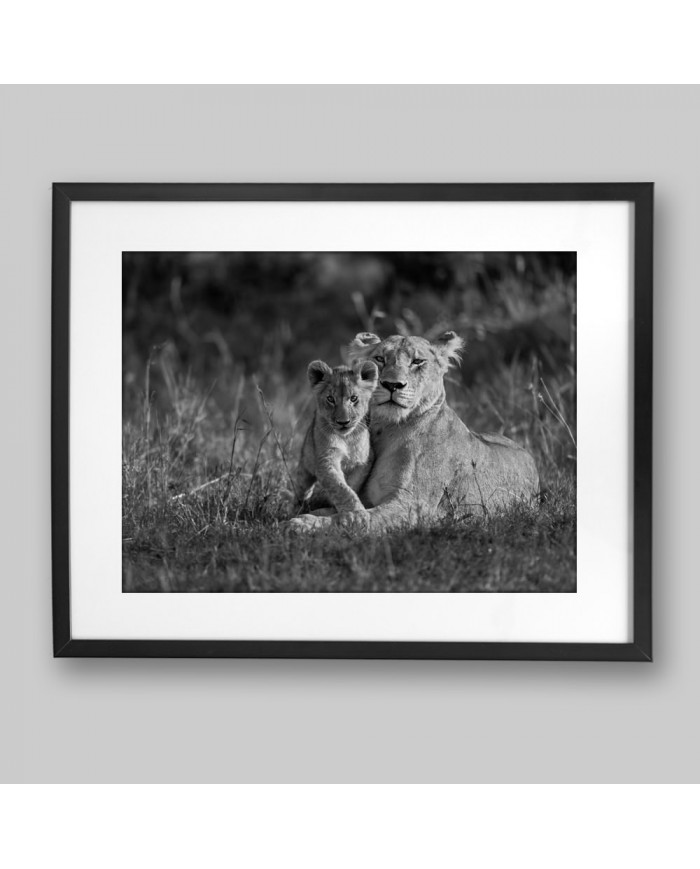 Leona con su cría, parque nacional Masai Mara, Kenia