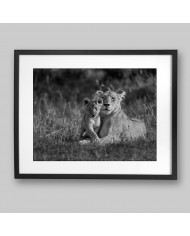 Leona con su cría, parque nacional Masai Mara, Kenia