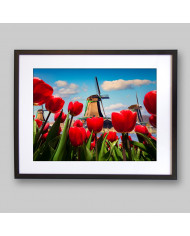 Molinos de viento,Holanda