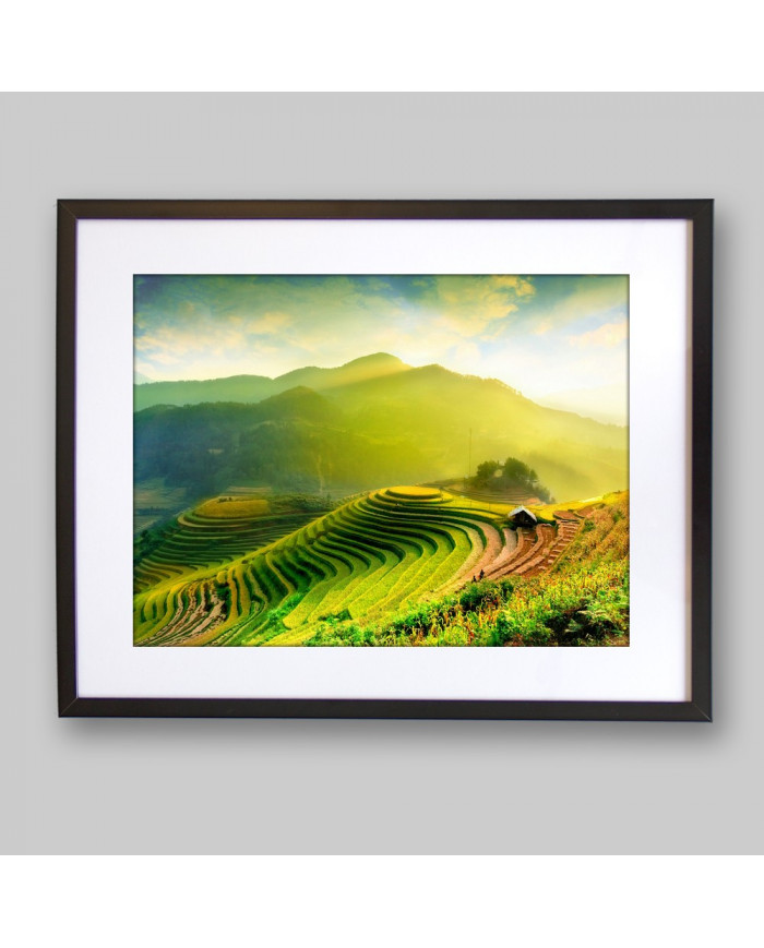 Campos de arroz en Mu Cang Chai, Vietnam