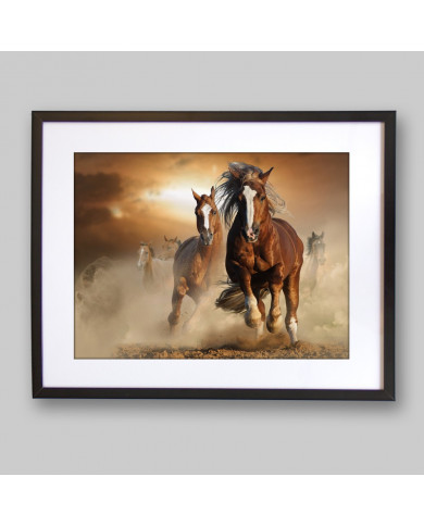 Caballos salvajes Caballos salvajes