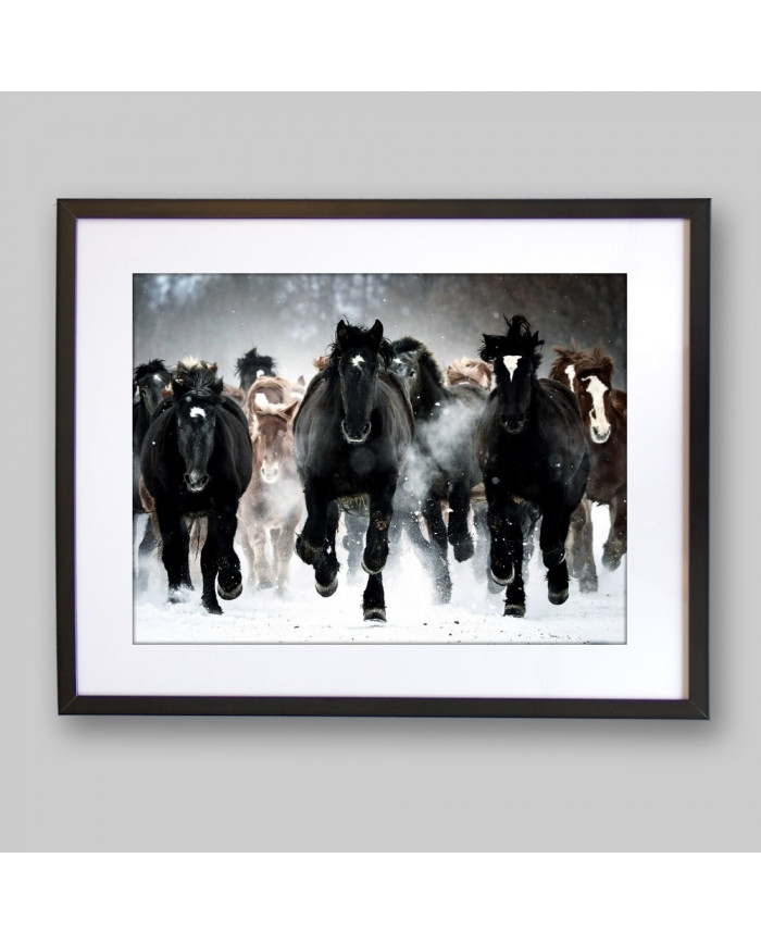 Caballos en invierno, Alaska