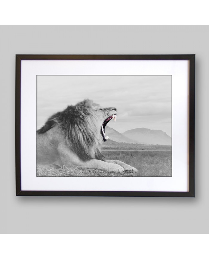 León, parque nacional Masai Mara, Kenia