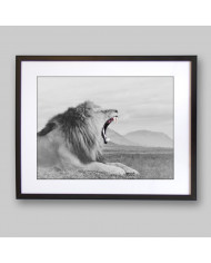 León, parque nacional Masai Mara, Kenia