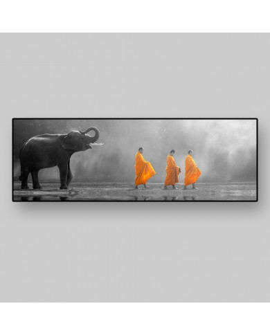 Young elephant with Monk alms round Young elephant with Monk alms round