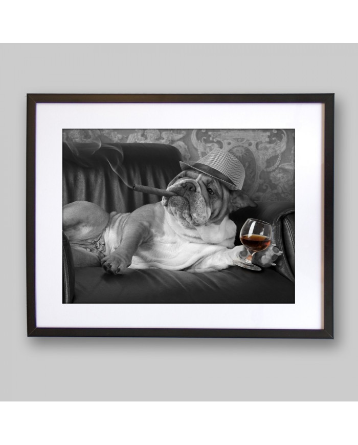 English Bulldog gangster