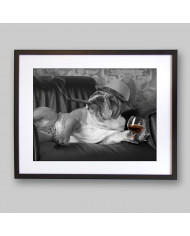 English Bulldog gangster