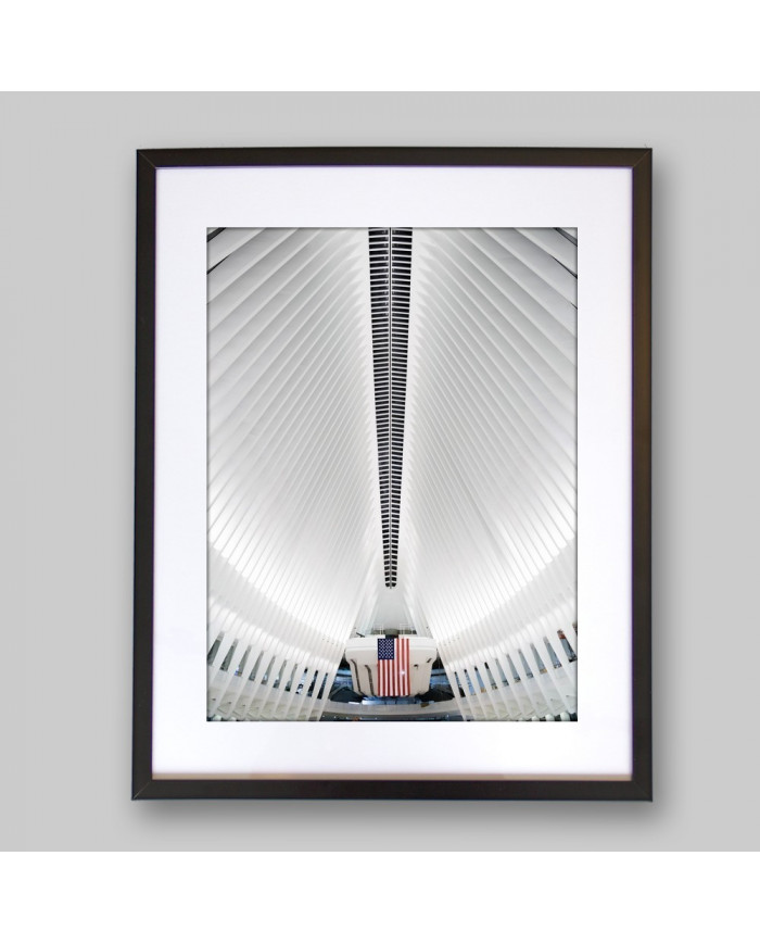 World Trade Center Transportation Oculus de Santiago Cal