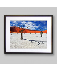 Dead Camelthorn Trees, Namib-Naukluft National Park, Namibia, Africa