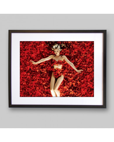 American Beauty American Beauty