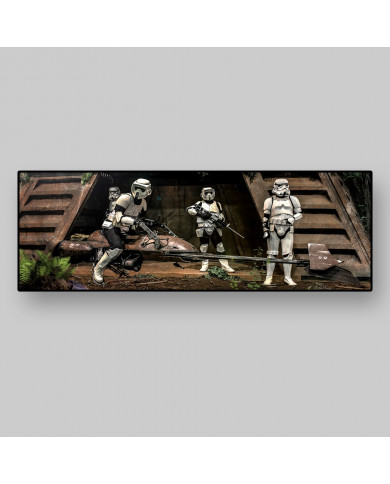 Endor Stormtroopers, Star Wars Endor Stormtroopers, Star Wars