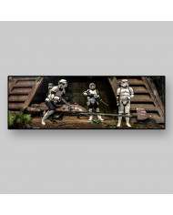 Endor Stormtroopers, Star Wars
