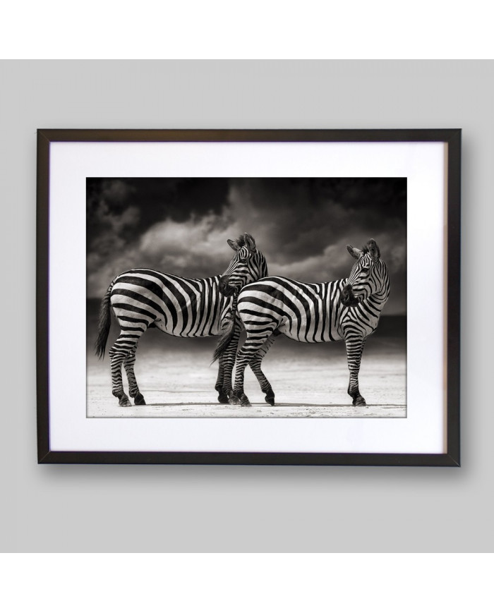 Cebras, Parque Nacional Serengueti, Tanzania