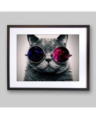 Gato con gafas 3D Gato con gafas 3D