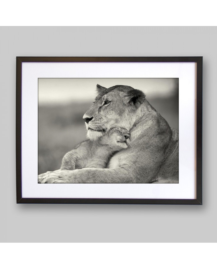 Leona con su cría, Parque Nacional Masai Mara, Tanzania