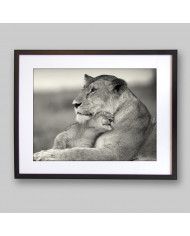 Leona con su cría, Parque Nacional Masai Mara, Tanzania