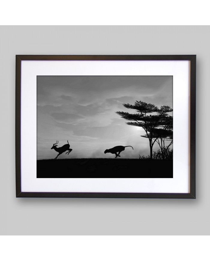 Leopardo cazando, Parque Nacional Chobe, Botswana