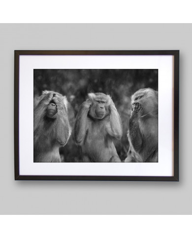 The three wise monkeys, San Saru