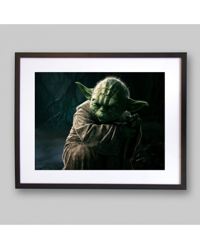 Maître Yoda, Star Wars