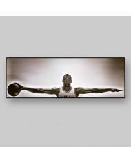 Michael Jordan, Wings