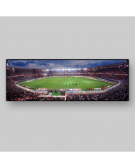 Paris Saint Germain, Parque des Princes, París