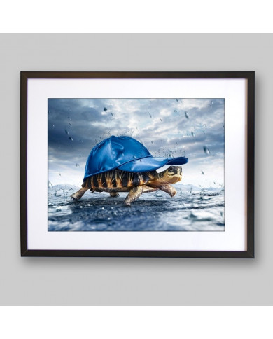 Tortuga bajo la lluvia Tortuga bajo la lluvia
