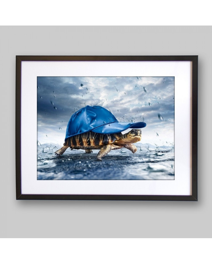Tortuga bajo la lluvia