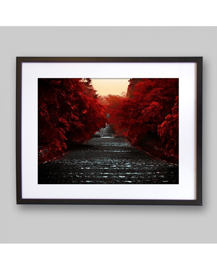 Camino de la Isla Honshu,Japón