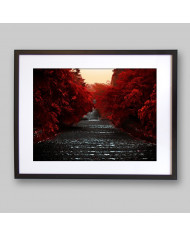 Camino de la Isla Honshu,Japón