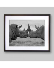 Rinocerontes  antes de la pelea, Parque Nacional Etosha, Namibia