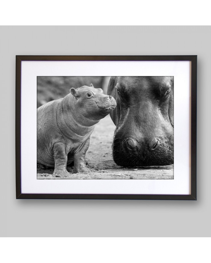 Hipopótamo con su cría en el Kruger National Park,Sudáfric