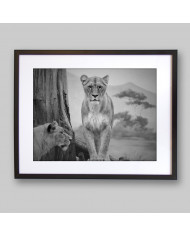 Pareja de Leonas, Parque Nacional Serengueti, Tanzania