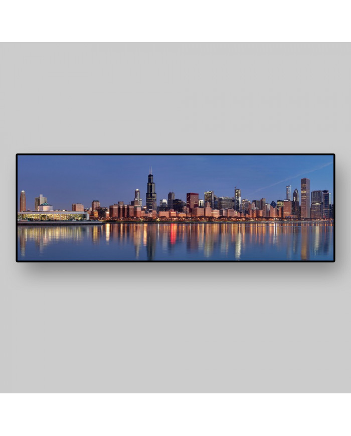 Vista panorámica del skyline de Chicago