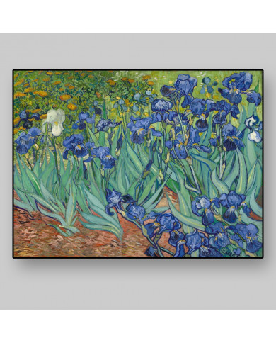 Vicent Van Gogh, Lirios Vicent Van Gogh, Lirios