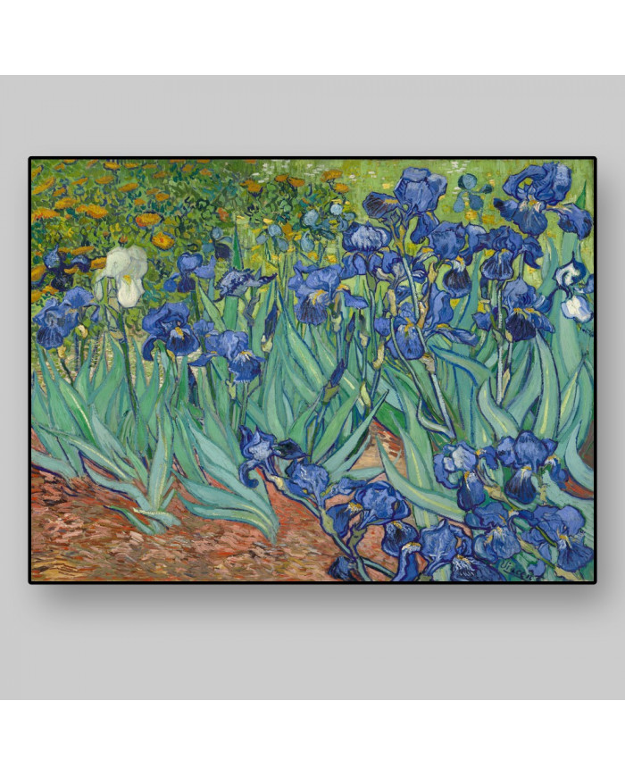 Vicent Van Gogh, Lirios